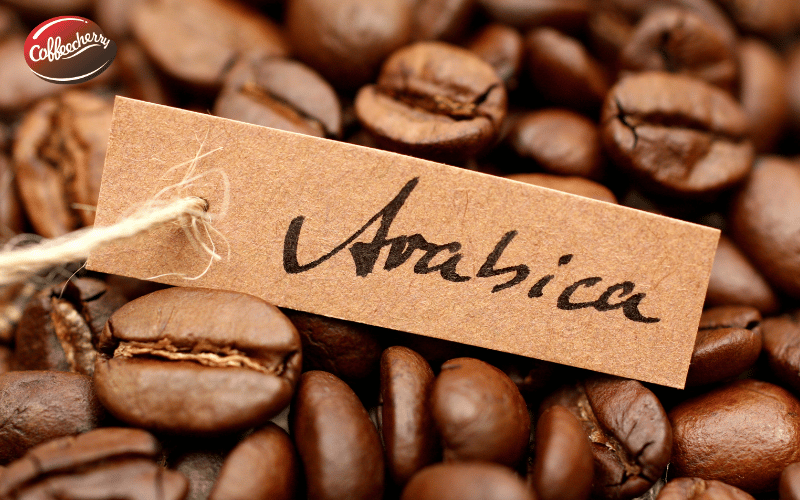 ca-phe-robusta-va-arabica-khac-nhau-cau-truc-hat-va-caffeine-the-nao (3)